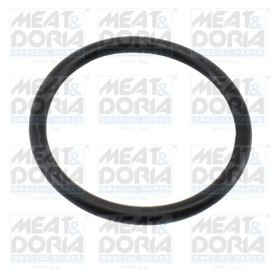 Seal, thermostat
